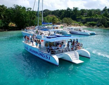 Catamaran & Snorkeling
