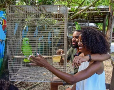 Bird Sanctuary – Montego Bay